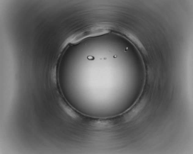 X0000115500842200911131319