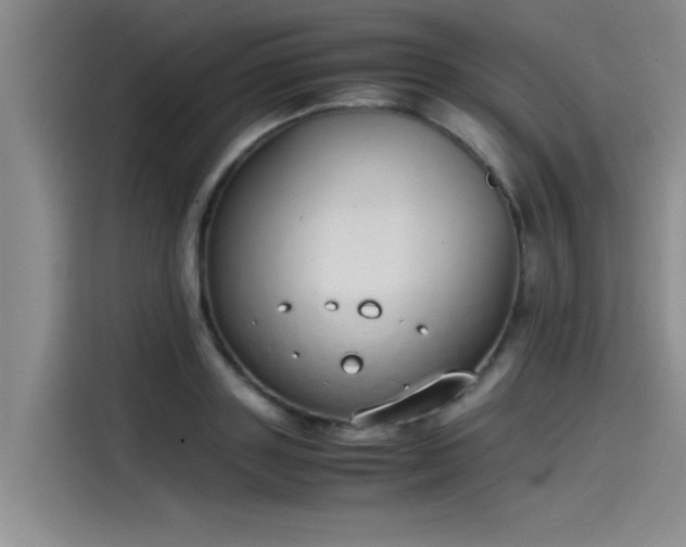 X0000115500843200911131319