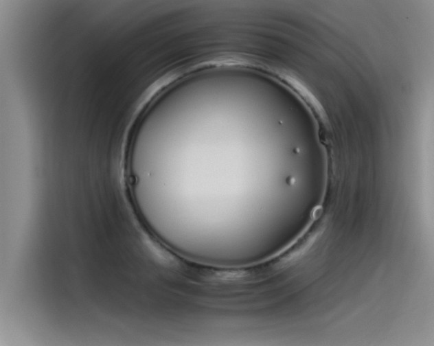 X0000115500845200911131319