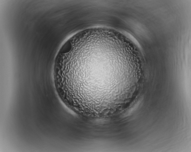 X0000115500847200911131319