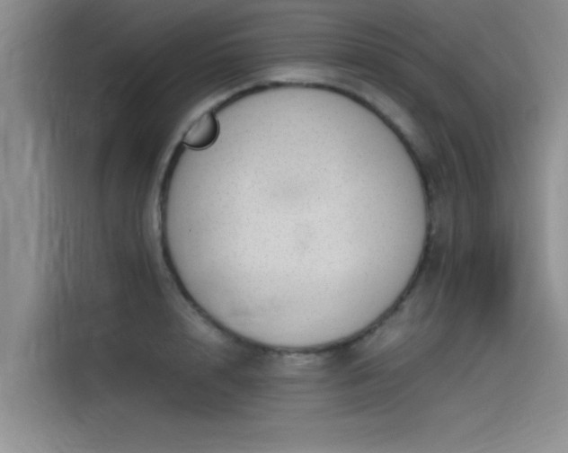 X0000115500848200911131319