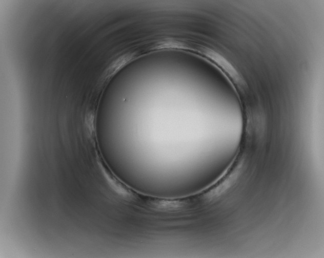 X0000115500849200911131319