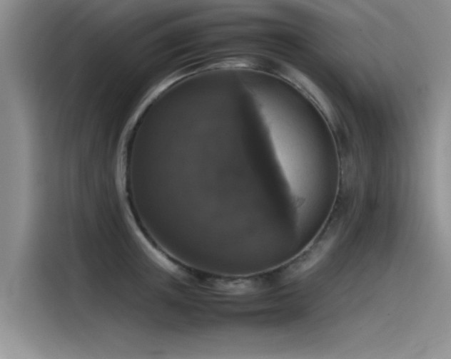 X0000115500851200911131319
