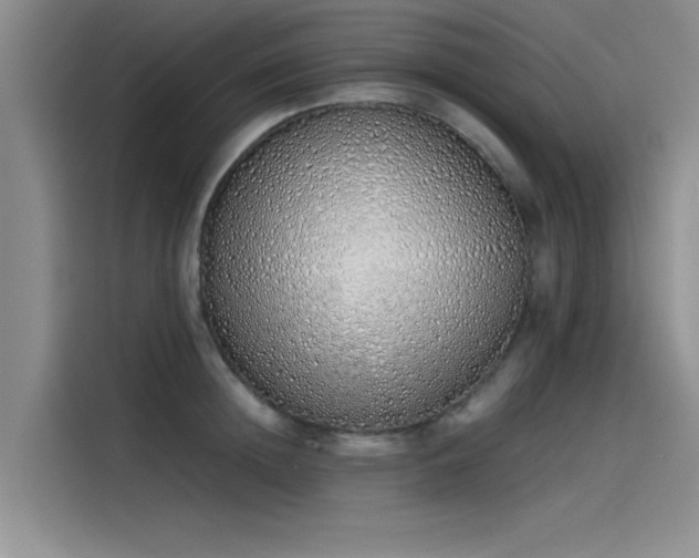 X0000115500852200911131319