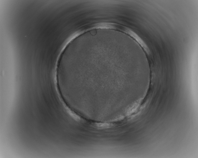 X0000115500853200911131319