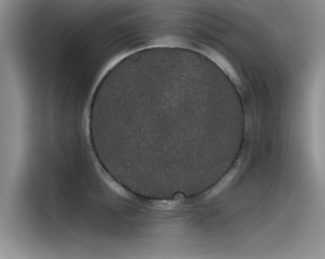 X0000115500854200911131319