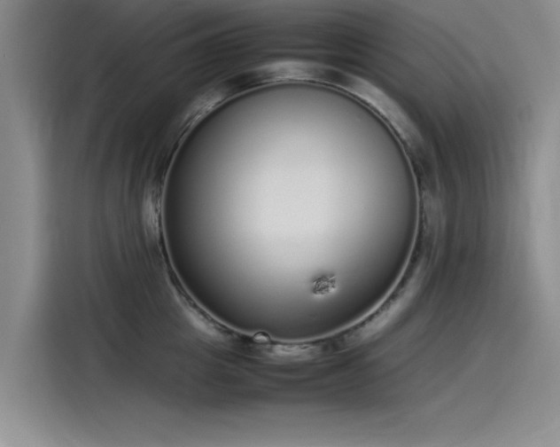 X0000115500857200911131319