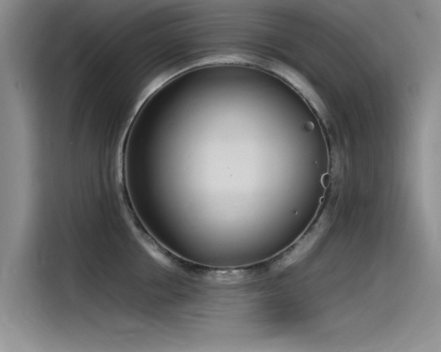 X0000115500858200911131319