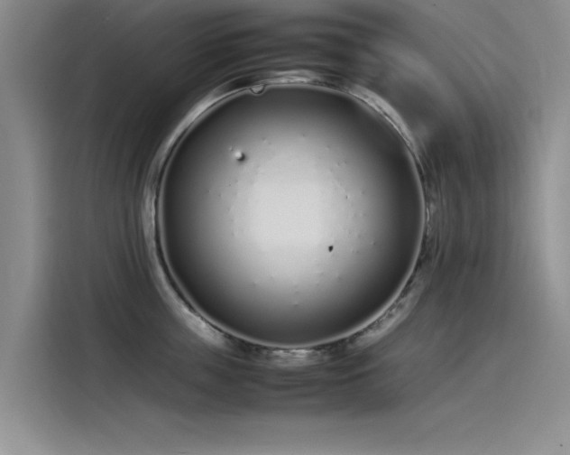 X0000115500859200911131319