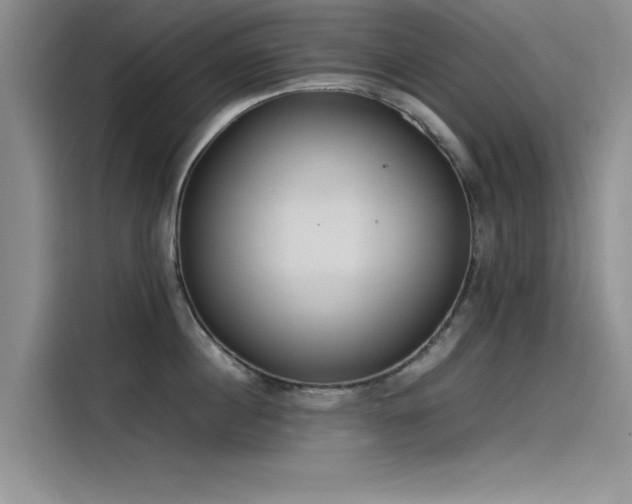 X0000115500860200911131319