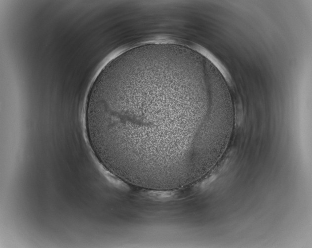 X0000115500861200911131319