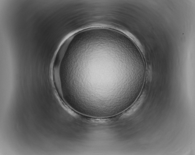 X0000115500862200911131319