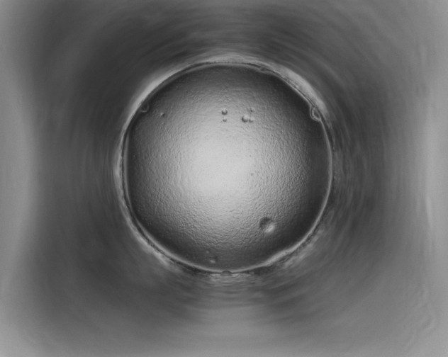 X0000115500863200911131319