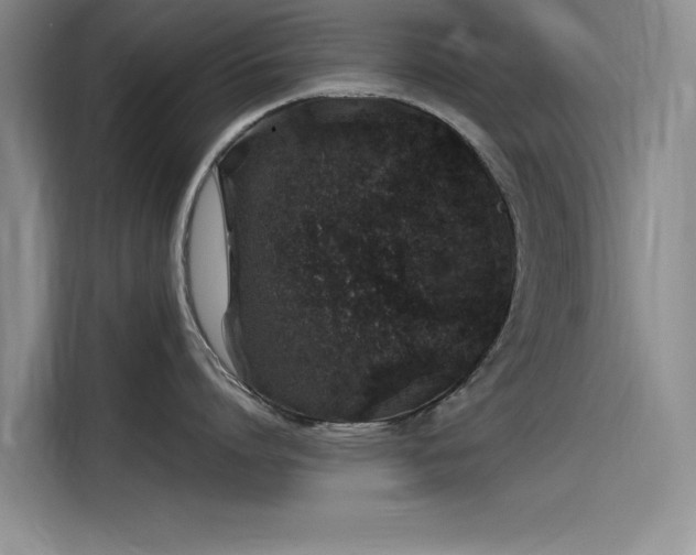 X0000115500864200911131320