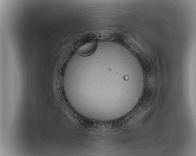 X0000115500865200911131319