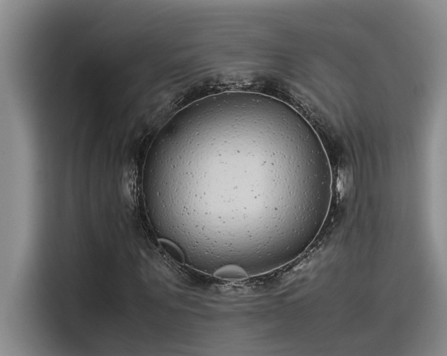 X0000115500867200911131319