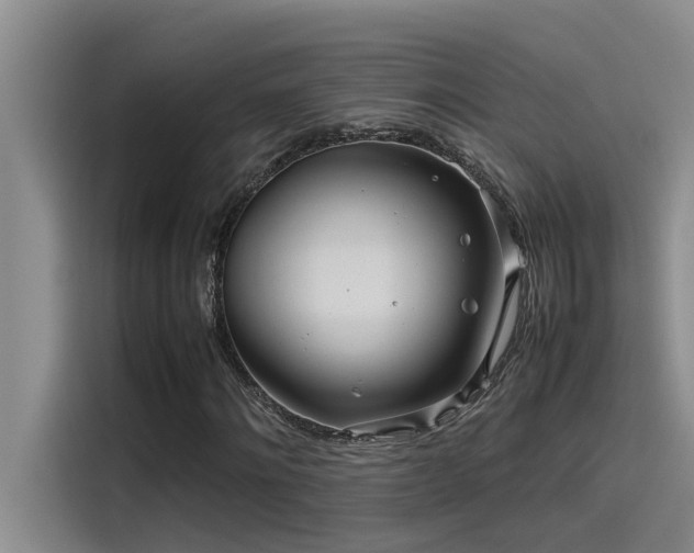 X0000115500868200911131319