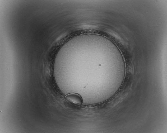X0000115500869200911131319