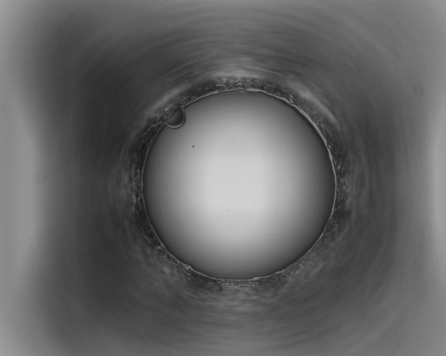 X0000115500870200911131319