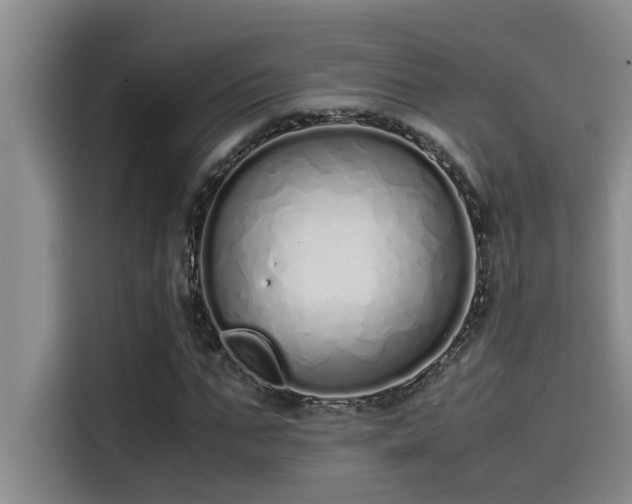 X0000115500871200911131319