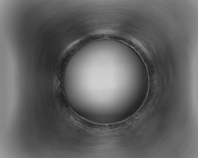 X0000115500872200911131319
