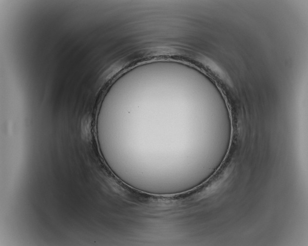 X0000115500873200911131319