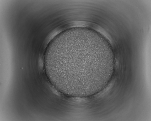 X0000115500874200911131319