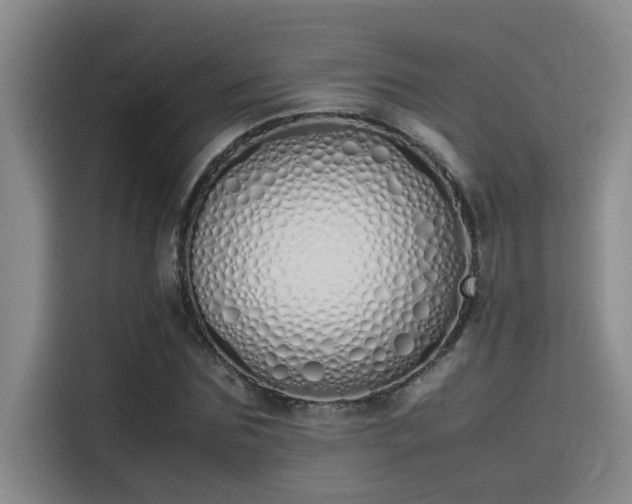 X0000115500875200911131319