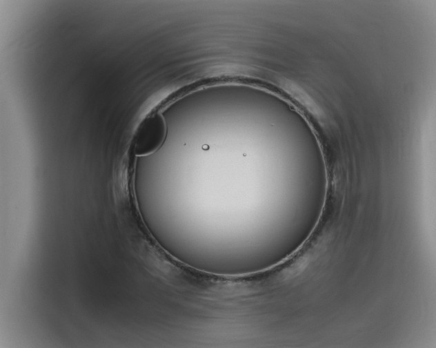 X0000115500877200911131319