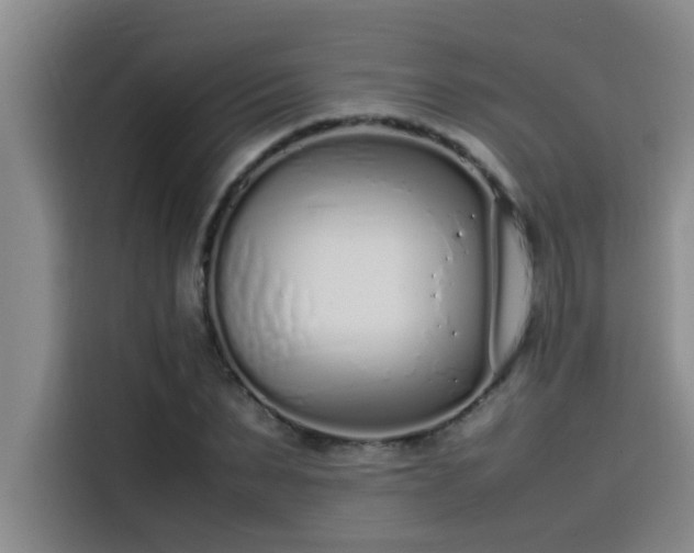 X0000115500879200911131319