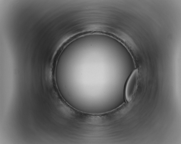 X0000115500880200911131319