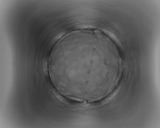 X0000115500881200911131319