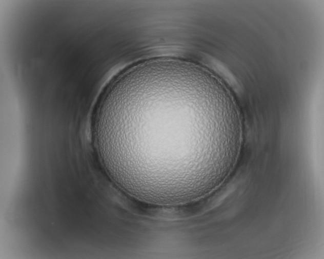 X0000115500883200911131319