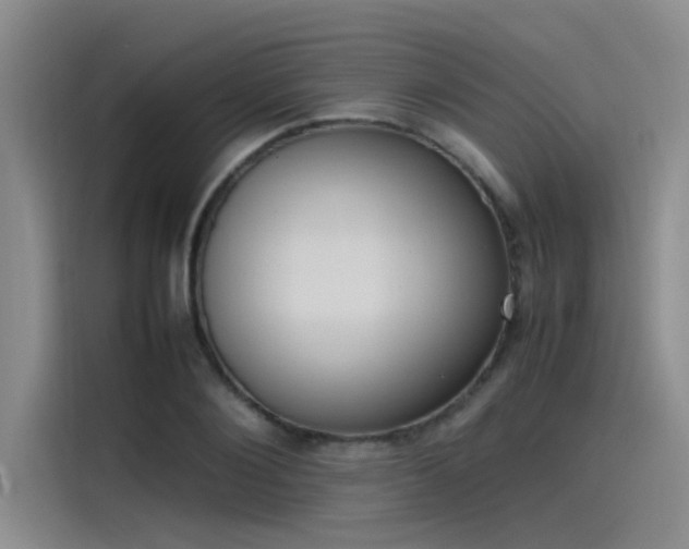 X0000115500884200911131319