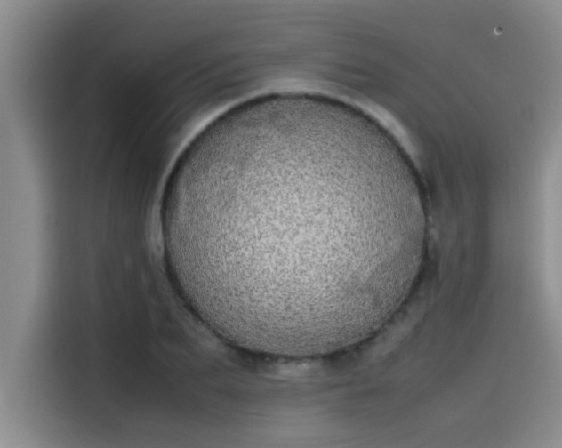 X0000115500887200911131319