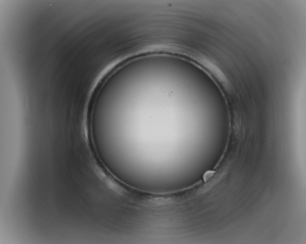 X0000115500888200911131319