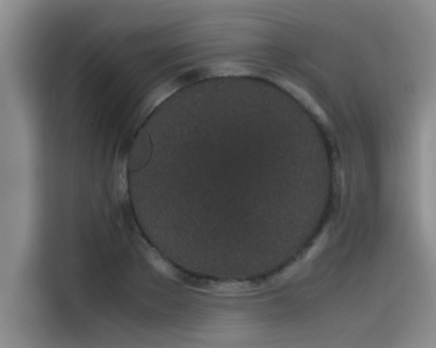 X0000115500889200911131319