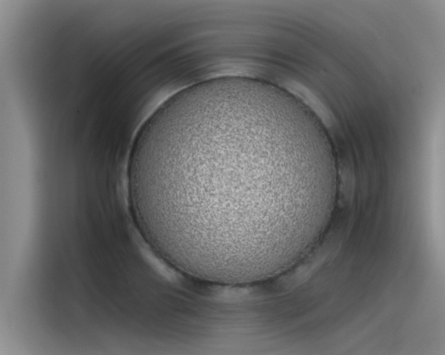 X0000115500890200911131319