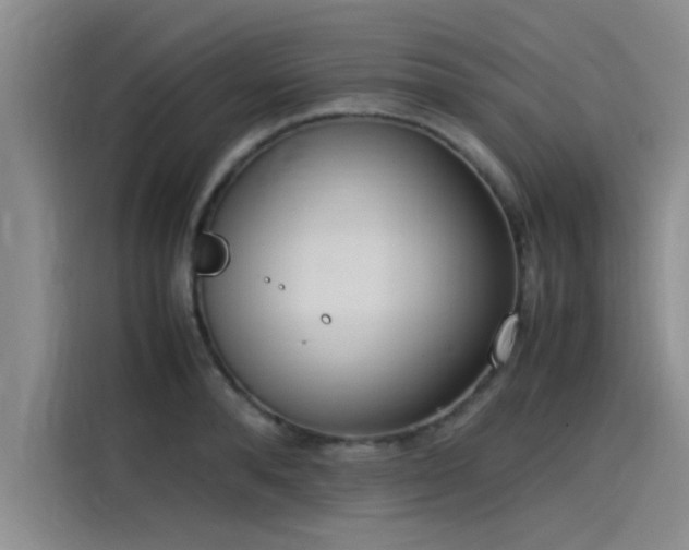 X0000115500896200911131318