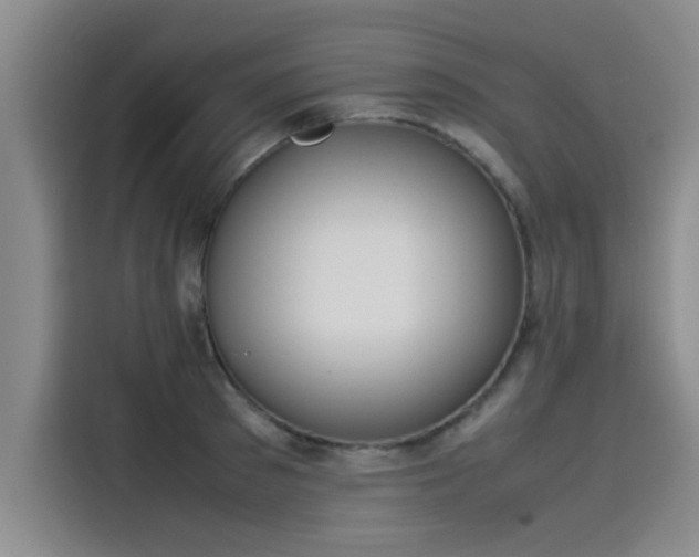 X0000115500897200911131318