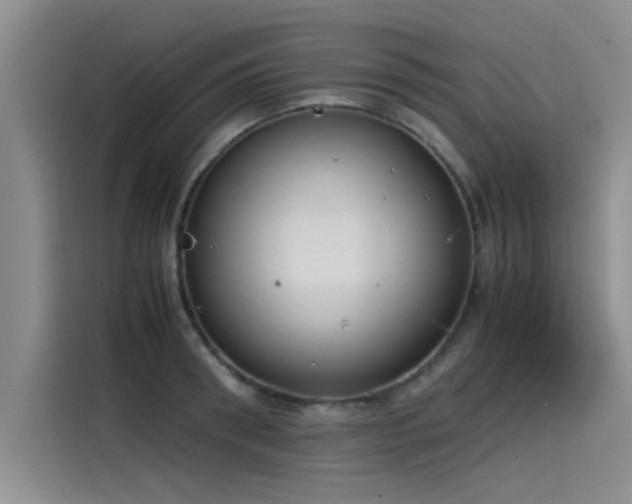 X0000115500898200911131318