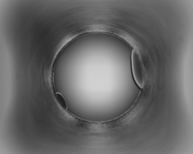 X0000115500901200911131318