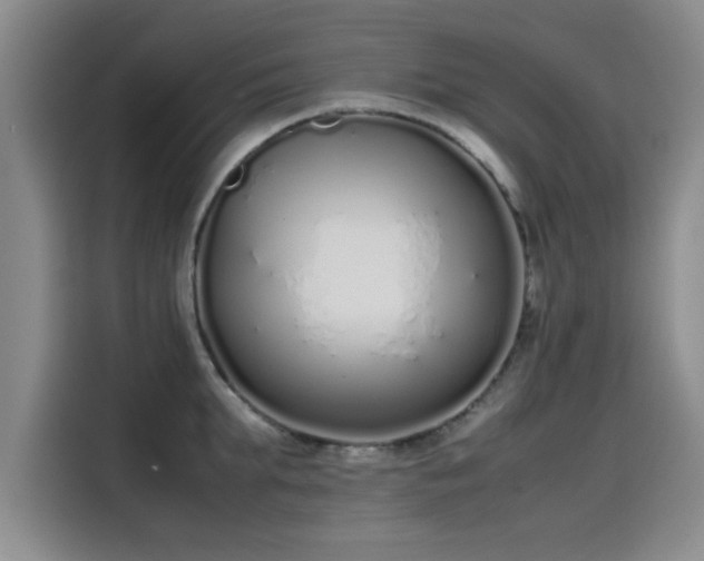 X0000115500903200911131318