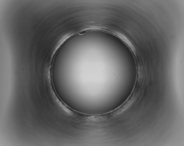 X0000115500906200911131318
