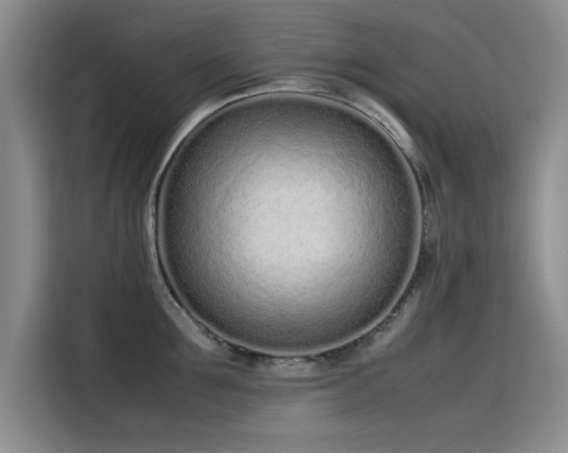 X0000115500907200911131318