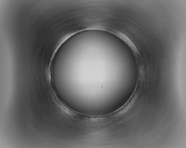 X0000115500908200911131318