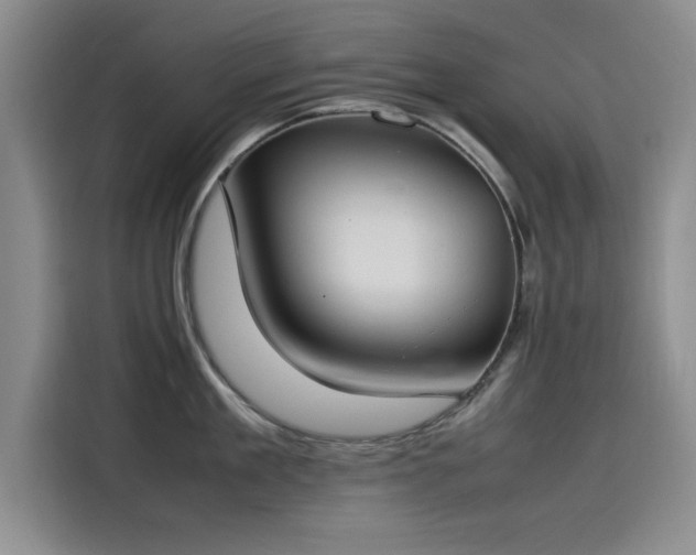 X0000115500909200911131318