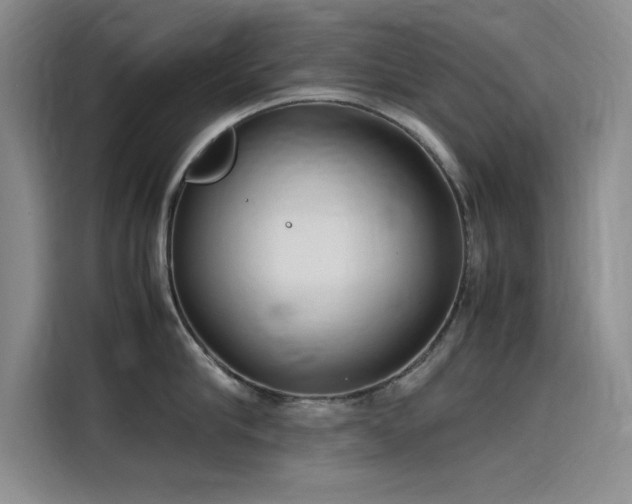 X0000115500910200911131318