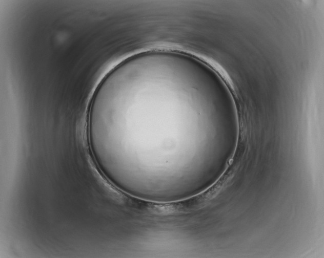 X0000115500911200911131318
