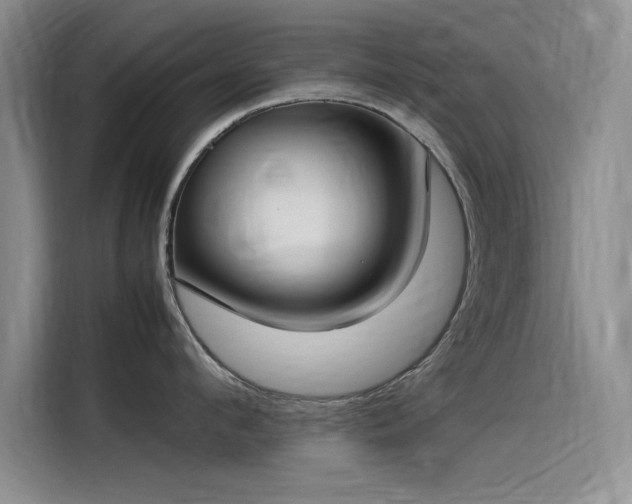 X0000115500912200911131318